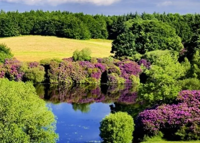 Killyliss * Lisnalong