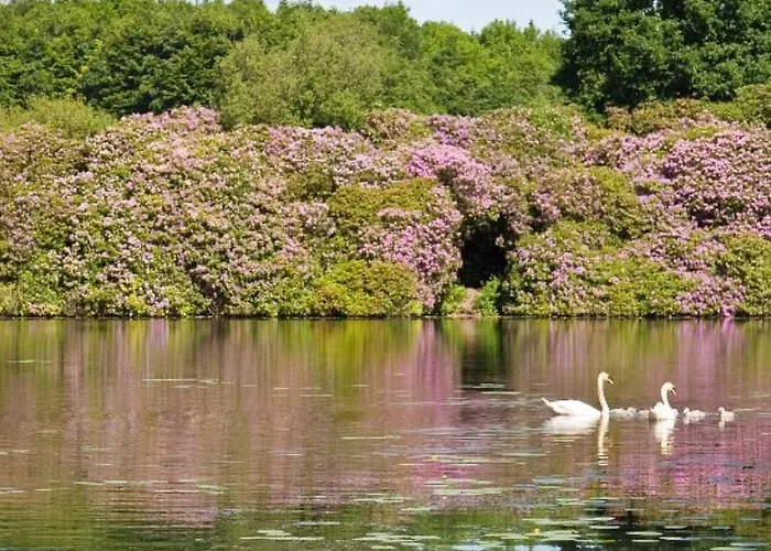 Killyliss Сasa de vacaciones